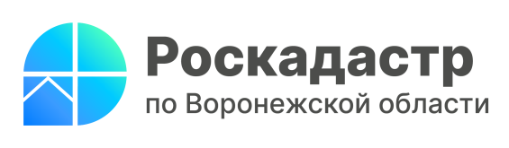 Информация о деятельности филиала ППК &lt;&lt; Роскадастр &gt;&gt; по Воронежской области.